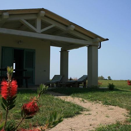 Agriturismo Podere 678 غروسيتو المظهر الخارجي الصورة