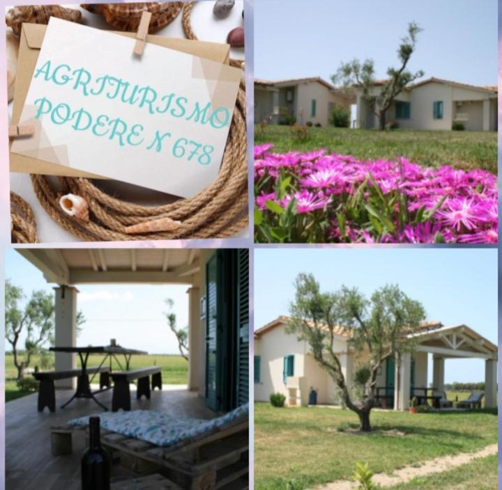 Agriturismo Podere 678 غروسيتو المظهر الخارجي الصورة