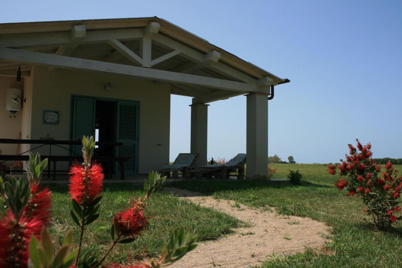 Agriturismo Podere 678 غروسيتو المظهر الخارجي الصورة